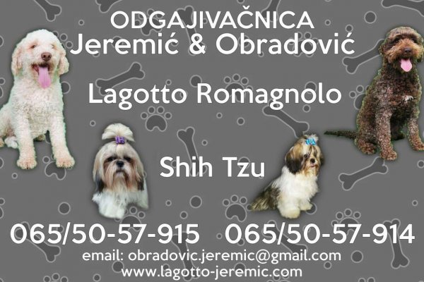 Кракен что там продают